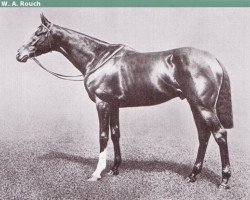 stallion Spearmint xx (Thoroughbred, 1903, from Carbine xx)