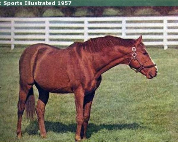 stallion Discovery xx (Thoroughbred, 1931, from Display xx)