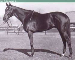 stallion Bold Ruler xx (Thoroughbred, 1954, from Nasrullah xx)