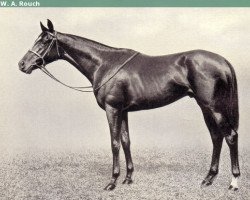 stallion Blenheim II xx (Thoroughbred, 1927, from Blandford xx)