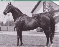 stallion Nearctic xx (Thoroughbred, 1954, from Nearco xx)