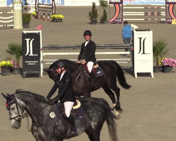 Reitturnier Westergellersen 2022