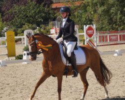 dressage horse Nümmich Wicht (German Riding Pony, 2017, from Nadir vom Splitting WE)