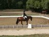 jumper For Wings (German Sport Horse, 2007, from For The Moon)