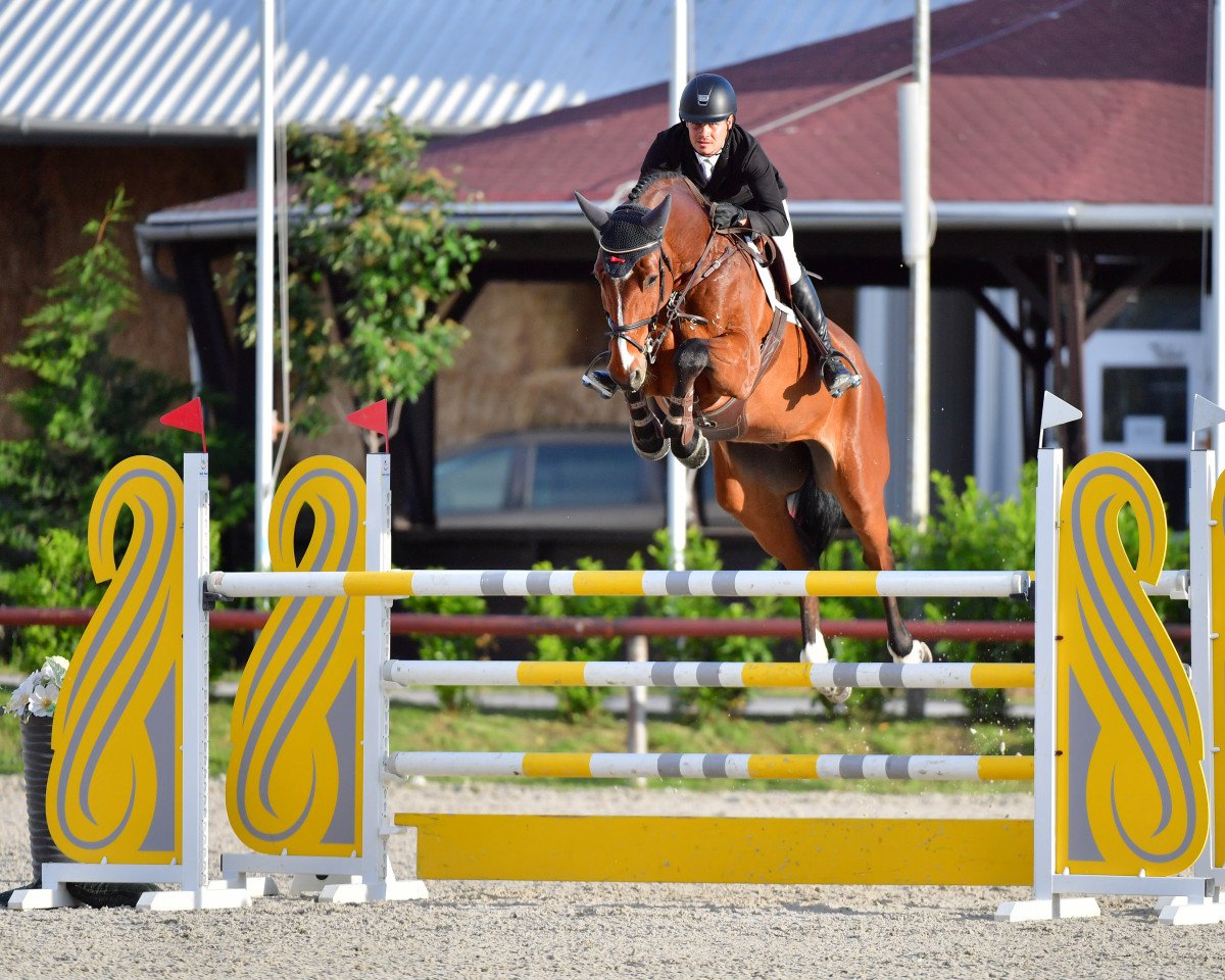 jumper Conbalgran PS (Oldenburg show jumper, 2011, from Conthargos)