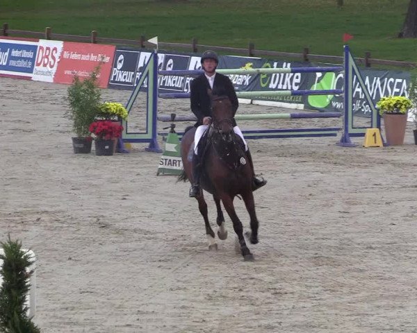 Reitturnier Westergellersen 2022