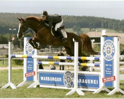 Springpferd Fighting Fritz 2 (Hessisches Warmblut, 2004, von Fighting Alpha)