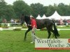 broodmare History (Westphalian, 2008, from Hotline)