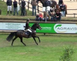 broodmare Peggy (German Riding Pony, 1995, from Neckar)