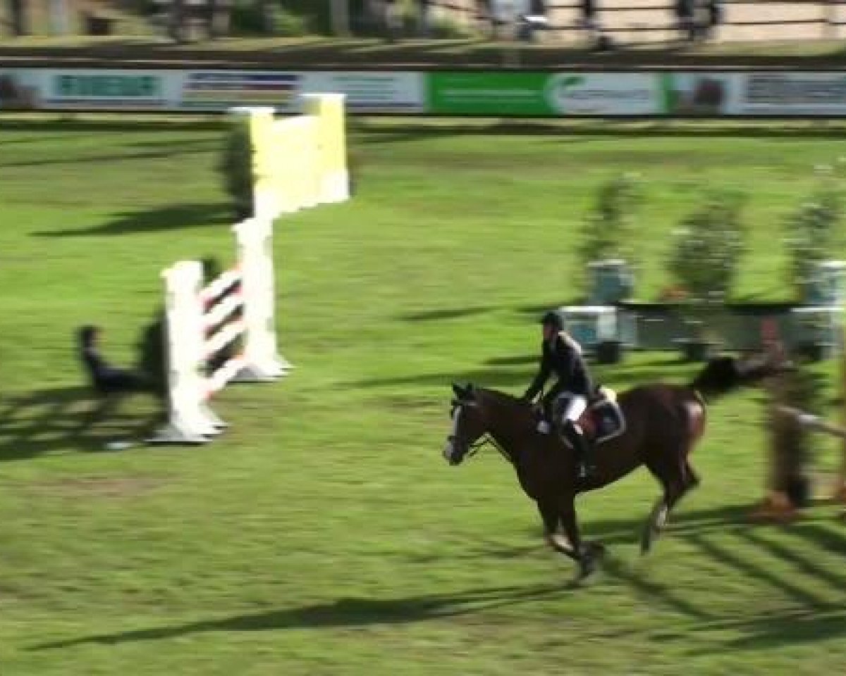 jumper Paul (Oldenburg, 2002, from Padarco van het Hertsveld)