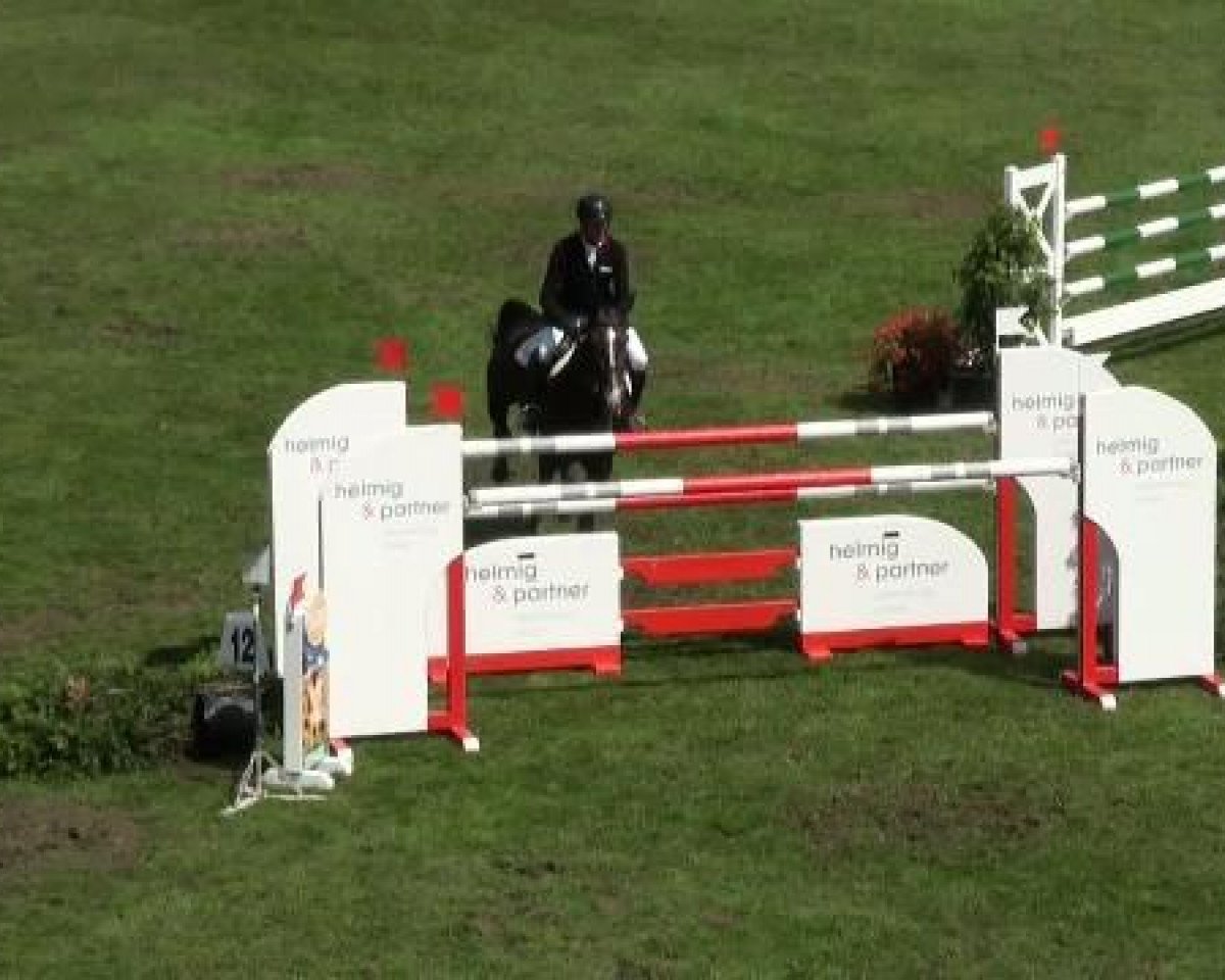 Zuchtstute Dimball Vh Scheefkasteel (Belgisches Warmblut, 2003, von Kimball)