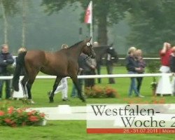 broodmare Estética Morena (Westphalian, 2008, from Ehrenstolz)