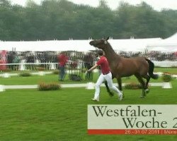 broodmare Florett (Westphalian, 2008, from Florestan I)