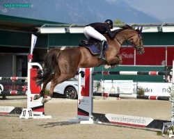 jumper Ilano M (KWPN (Royal Dutch Sporthorse), 2013, from Univers Theod)