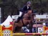 jumper Grand Balou 4 (Hessian Warmblood, 2003, from Balou du Rouet)