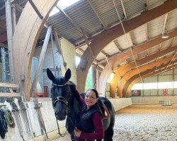 dressage horse Dynamic Daisy (Hanoverian, 2012, from Destano)