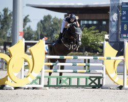 jumper Mila van de Vrunte Z (Zangersheide riding horse, 2017, from Magnum van 't Heike)