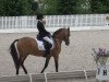 dressage horse (gp) (German Riding Pony, 2002, from Good Guffi)