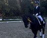 dressage horse Fortune & Fame (Hanoverian, 2017, from Fürstenball)