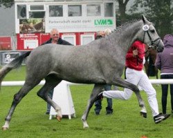 broodmare Canzlerin (Westphalian, 2008, from Cornado NRW)