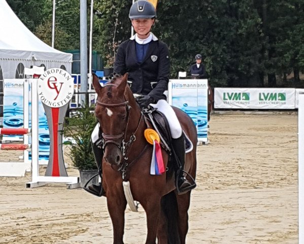 jumper Akira Sp WE (German Riding Pony, 2010, from Calido G)