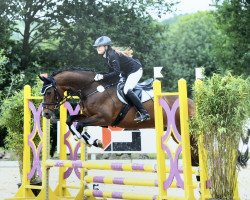 jumper Saturday Nightfever (Trakehner, 2000, from Freudenfest)