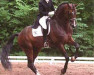 stallion Romancier (Westphalian, 1989, from Rosenkavalier)