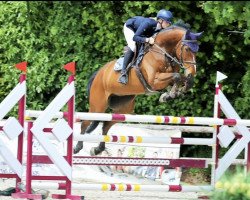 jumper Shooti (Hanoverian, 2012, from Stolzenberg)