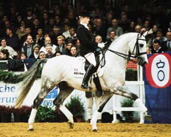 stallion Granulit (Hessian Warmblood, 1992, from Grannus)