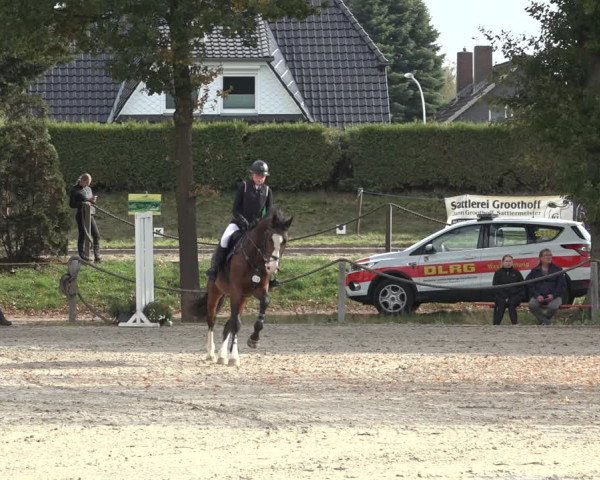 4. Handorfer Springturnier 2022
