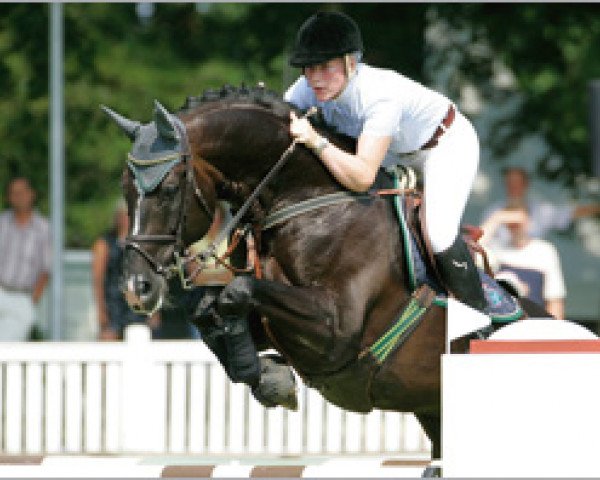 stallion Gracieux (Oldenburg, 1993, from Grannus)