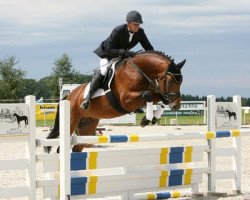 stallion Chuck (Württemberger, 2005, from Chambertin)