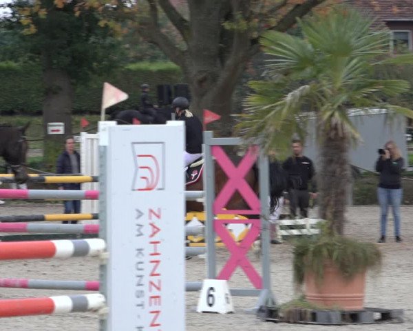 4. Handorfer Springturnier 2022