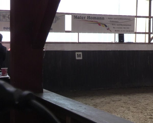 Reitturnier St. Peter-Ording 2022
