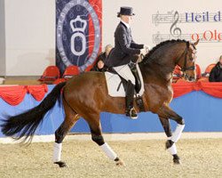 stallion Serano Gold (Oldenburg, 2001, from Sandro Hit)