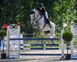 jumper Humphry (KWPN (Royal Dutch Sporthorse), 2012, from Crespo VDL)