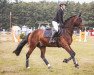 jumper Tiziano Chicolino (Oldenburg show jumper, 2015, from Toulon)