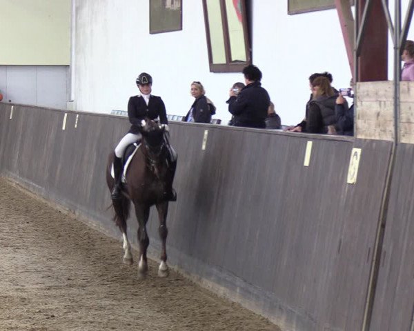 Reitturnier St. Peter-Ording 2022