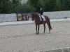 dressage horse Saronno 2 (KWPN (Royal Dutch Sporthorse), 1999, from Florestan I)