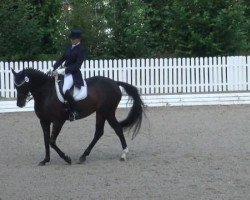 dressage horse Dowera (Oldenburg, 2002, from Don Rubin 3)