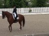 dressage horse Wack Up (Hanoverian, 1999, from Wolkenstein II)