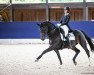 dressage horse Qc Fillipo Niro (Oldenburg, 2009, from Fidertanz)