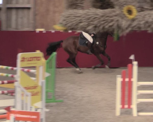 Reitturnier Krumke 2022
