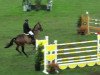 jumper Big Jumper (KWPN (Royal Dutch Sporthorse), 2003, from Oklund)