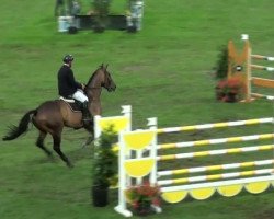 Springpferd Big Jumper (KWPN (Niederländisches Warmblut), 2003, von Oklund)