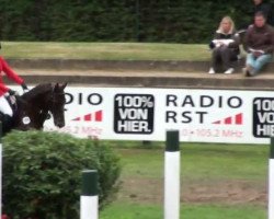 jumper San Severo (Hanoverian, 1998, from Salvano)