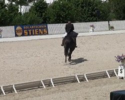 dressage horse Sommerliebe (Westphalian, 2003, from Show Star)