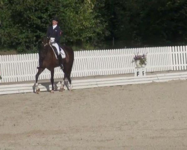dressage horse Formatic's Forrester (Westphalian, 1998, from Faveur)