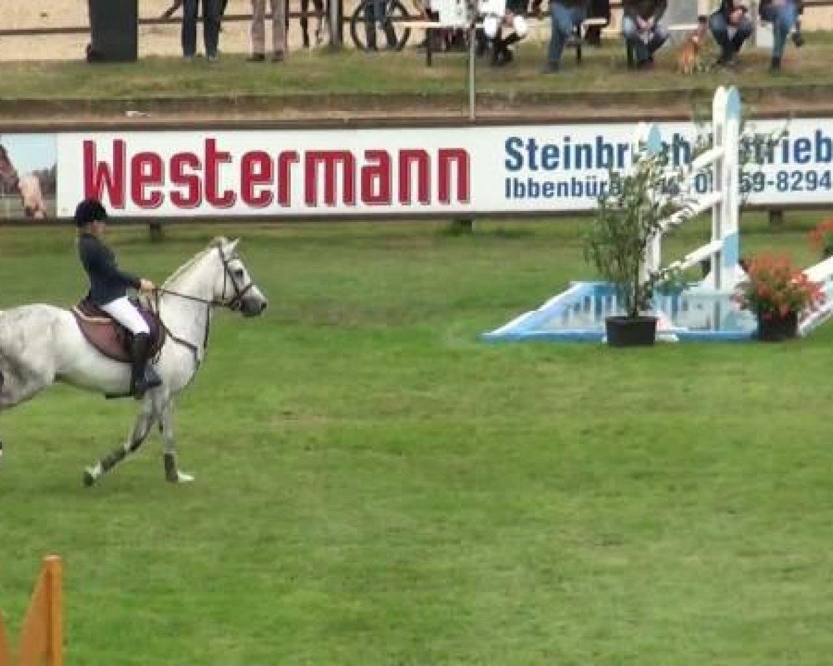 jumper Kaisercool (German Riding Pony, 2001, from Kaiserwalzer)