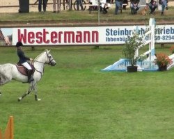 jumper Kaisercool (German Riding Pony, 2001, from Kaiserwalzer)